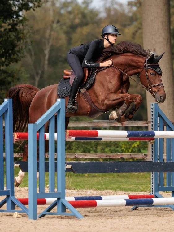 czaprak czarny modern skokowy equestrian stoskholm  (5).webp