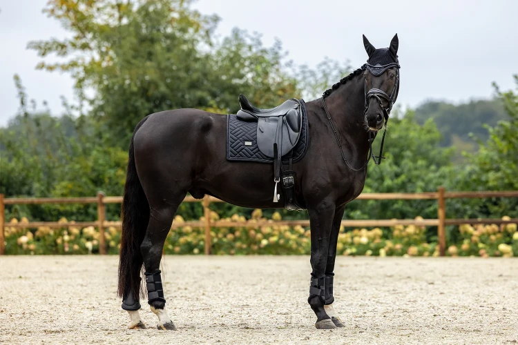 czaprak ujeżdżeniowy czarny modern equestrian stockholm  (4).webp
