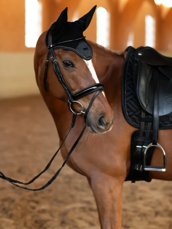 czaprak ujeżdżeniowy czarny modern equestrian stockholm  (6).webp