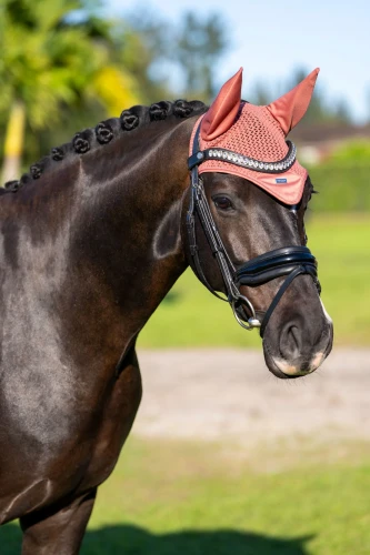 nauszniki coral equestrian stockholm  (1).webp