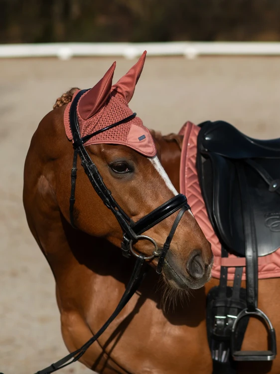 nauszniki coral equestrian stockholm  (5).webp