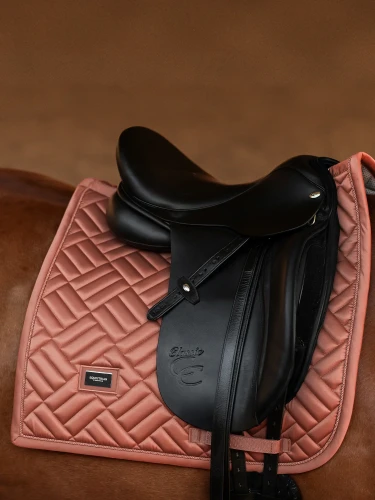 czaprak ujeżdżeniowy koralowy equestrian stockholm  (1).webp