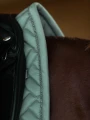 czaprak ujeżdżeniowy miętowy equestrian stockholm  (2).webp