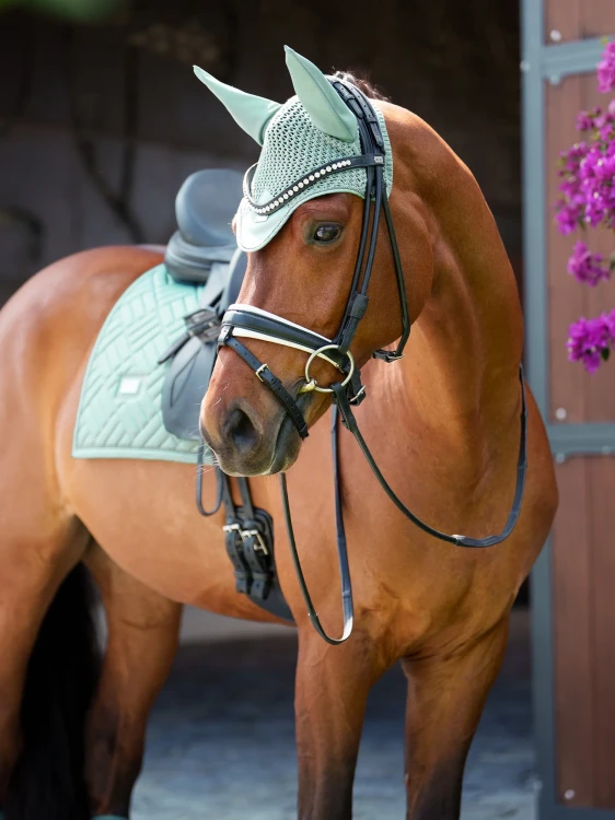 czaprak ujeżdżeniowy miętowy equestrian stockholm  (3).webp