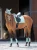 czaprak ujeżdżeniowy miętowy equestrian stockholm  (7).webp