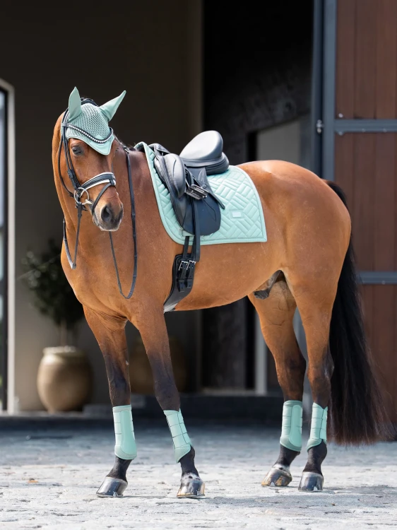 czaprak ujeżdżeniowy miętowy equestrian stockholm  (7).webp