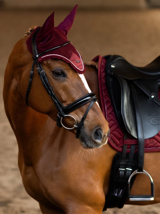 nauszniki bordowe equestrian stockholm  (1).jpg