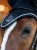 nauszniki granatowe equestrian stockholm  (3).webp