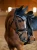 nauszniki granatowe equestrian stockholm  (4).webp