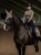 nauszniki beżowe champagne equestrian stockholm (1).webp