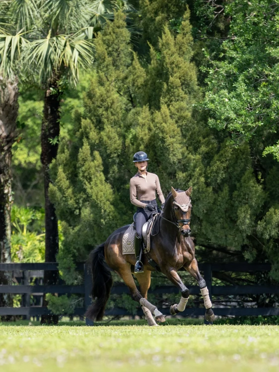 nauszniki beżowe champagne equestrian stockholm (5).webp