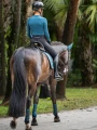 mesh-boots-teal-blue4.webp