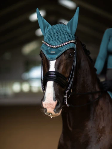 nauszniki teal  morski equestrian stockholm  (1).webp
