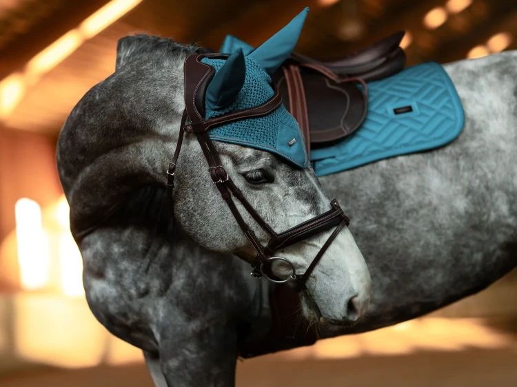 nauszniki teal  morski equestrian stockholm  (4).webp