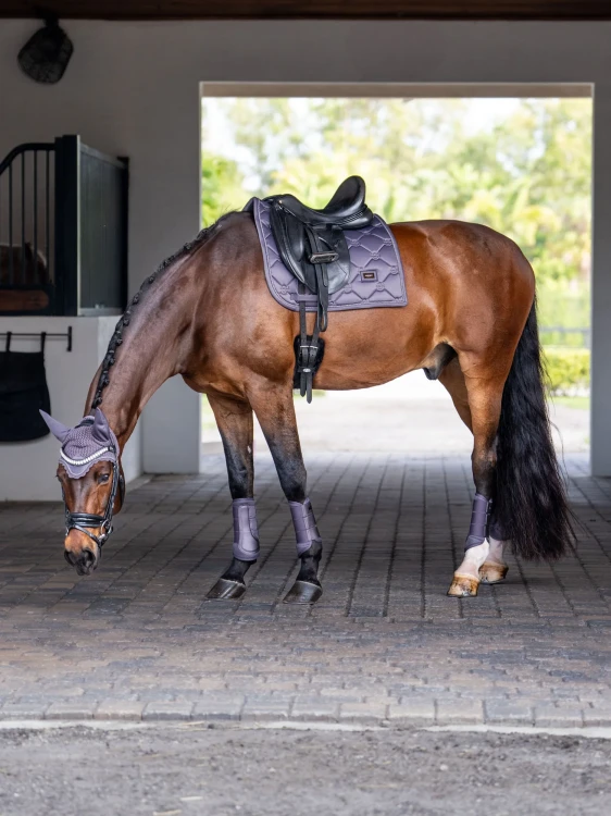 nauszniki fioletowe dark violet equestrian stockholm  (4).webp