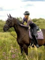 czaprak fioletowy dark violet ujeżdżeniowy  (7).webp