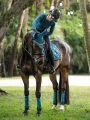 czaprak ujeżdzeniowy morski teal equestrian stockholm  (4).webp