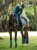 czaprak ujeżdzeniowy morski teal equestrian stockholm  (4).webp