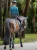 czaprak ujeżdzeniowy morski teal equestrian stockholm  (5).webp