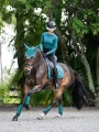 czaprak ujeżdzeniowy morski teal equestrian stockholm  (6).webp