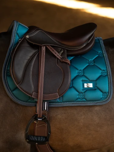 czaprak morski skokowy equestrian stockholm  (1).webp