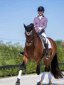 classic-show-jacket-dark-violet.webp