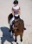 crystal-champion-top-dark-violet2.webp