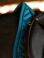 modern-teal-blue3.webp