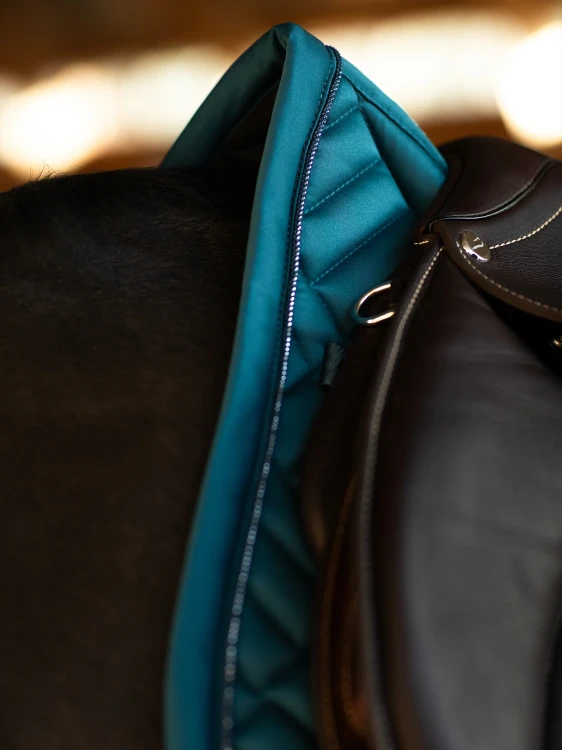 modern-teal-blue3.webp