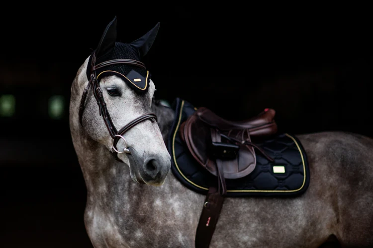 czaprak black gold skokowy equestrian stockholm  (1).webp
