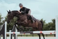 czaprak black gold skokowy equestrian stockholm  (5).webp