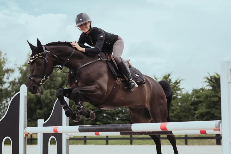 czaprak black gold skokowy equestrian stockholm  (5).webp