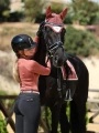 czaprak ujeżdżeniowy różowy amber rose equestrian stockholm  (3).webp