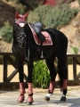 czaprak ujeżdżeniowy różowy amber rose equestrian stockholm  (7).webp