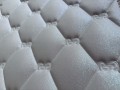 IMG_3543.jpeg