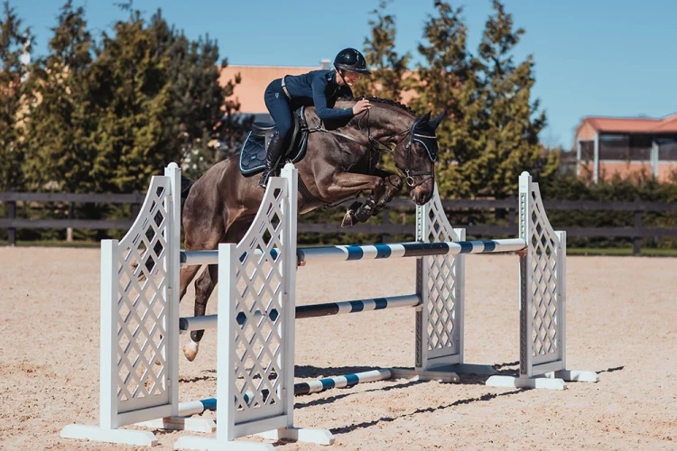 czaprak granatowy skokowy midnight blue equestrian stockholm  (7).webp