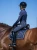 czaprak ujeżdżeniowy granatowy midnight blue equestrian stockholm  (3).webp