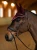 nauszniki bordowe kryształki equestrian stockholm  (6).webp