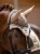 nauszniki sand beżowe equestrian stockholm  (1).webp