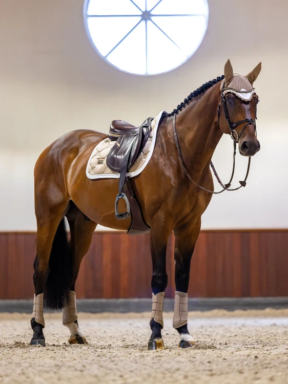 nauszniki sand beżowe equestrian stockholm  (5).webp