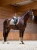 czaprak ujeżdżeniowy beżowy equestrian stockholm  (8).webp