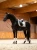czaprak ujeżdżeniowy biały beżowy equestrian stockholm  (4).webp