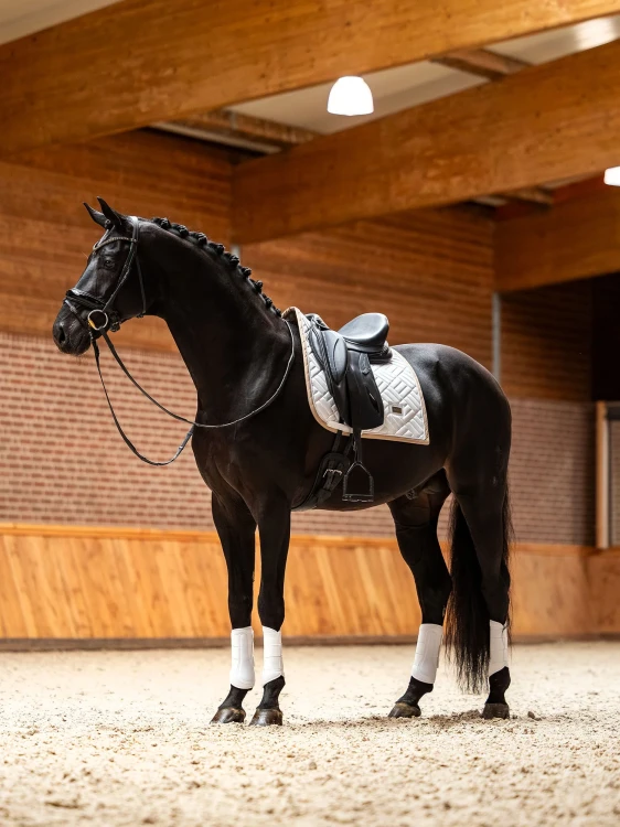 czaprak ujeżdżeniowy biały beżowy equestrian stockholm  (4).webp
