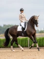 czaprak ujeżdżeniowy biały beżowy equestrian stockholm  (7).webp