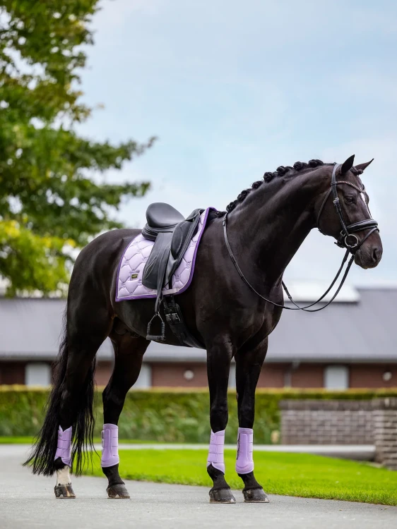 czaprak ujeżdżeniowy lavender equestrian stockholm  (5).webp