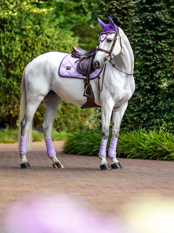 czaprak skokowy lawendowy equestrian stockholm  (5).webp