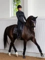black-edition-ear-bonnet4.webp