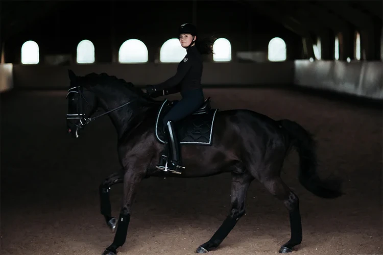 owijki dla koni czarne equestrian stockholm  (1).webp