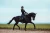 owijki dla koni czarne equestrian stockholm  (2).webp