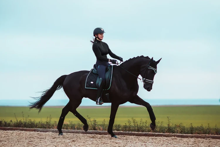 owijki dla koni czarne equestrian stockholm  (2).webp
